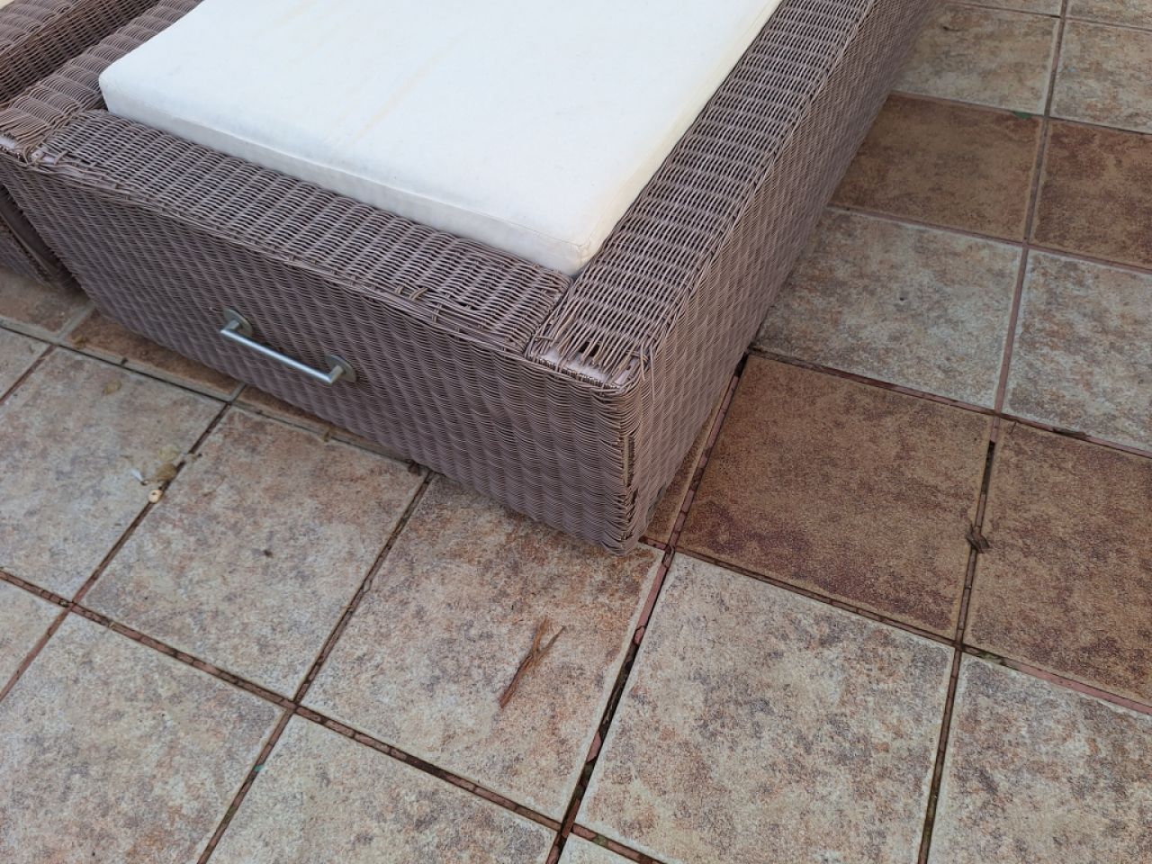 Manutti 2 Tumbonas de Lujo