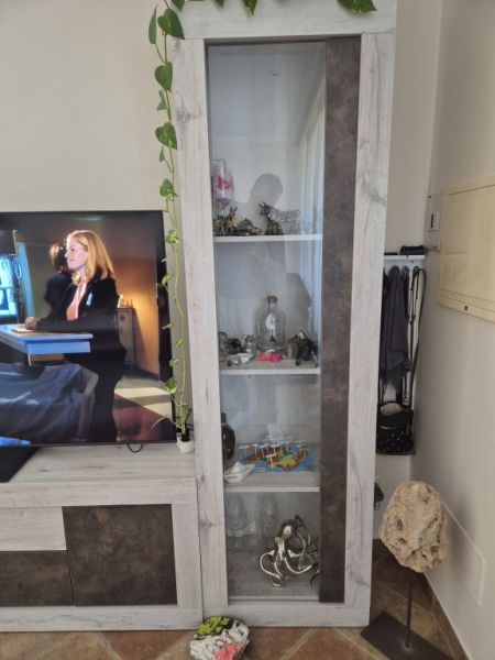 Modern, like-new wall unit