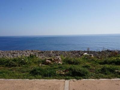 Nettes Apartment für über den Winter an der Cala Morlanda - S Illot -- AP 09 WT