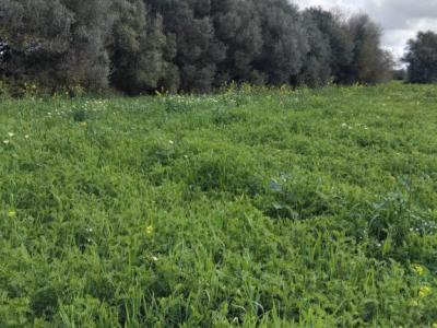 Se vende terreno no edificable  en CAMPOS