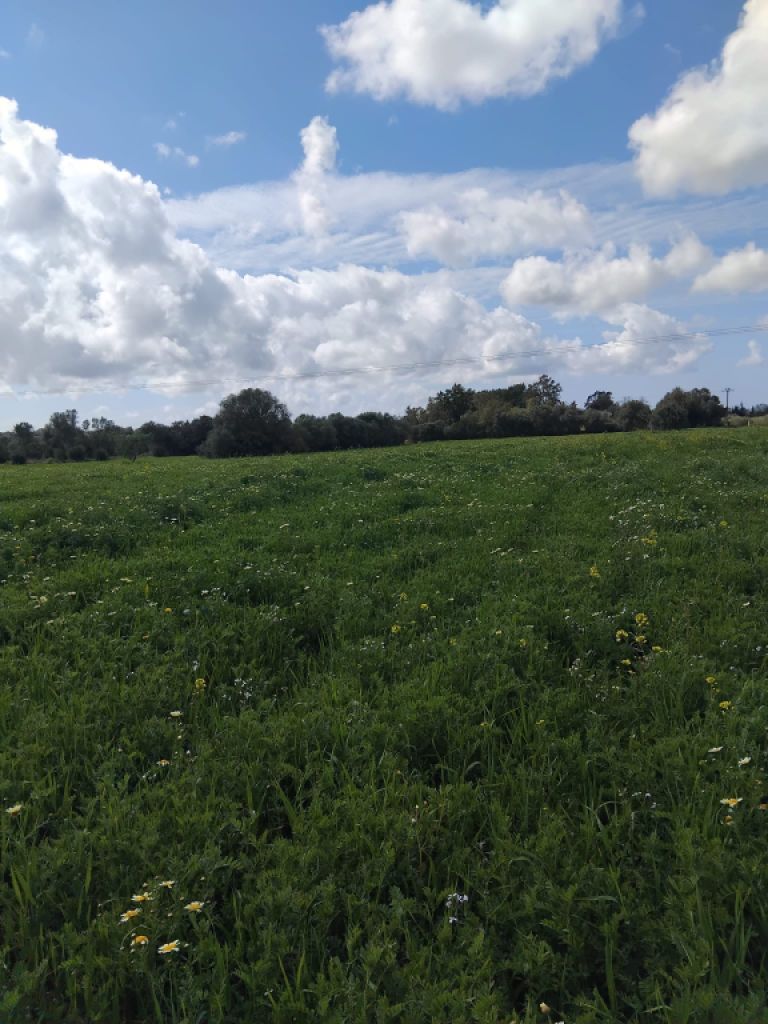 Se vende terreno no edificable  en CAMPOS