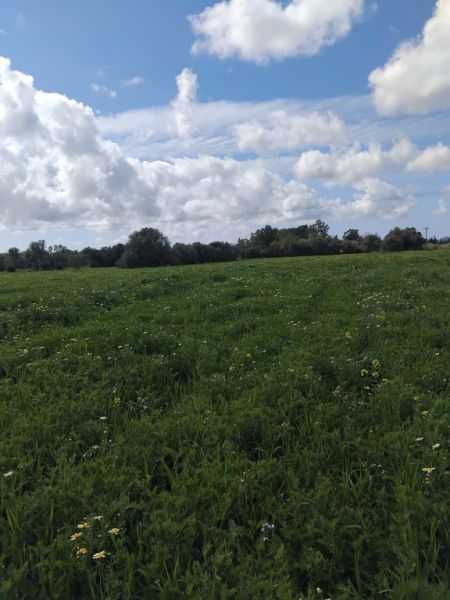 Se vende terreno no edificable  en CAMPOS