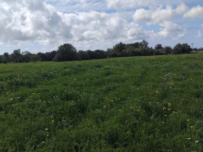 Se vende terreno no edificable  en CAMPOS