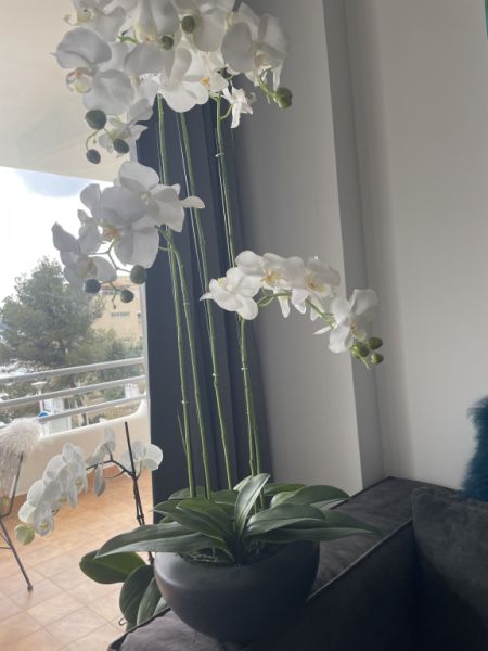 Orchidee weiß im Keramiktopf aus Kunststoff