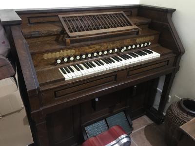 Orgel