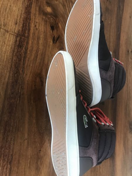 Zapatilla Lacoste original