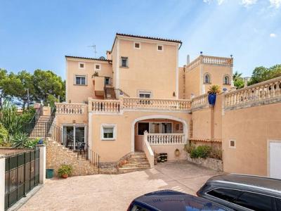 Paguera planta baja en alquiler