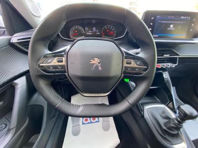 Peugeot 2008 Active 1.2 100Cv 5p