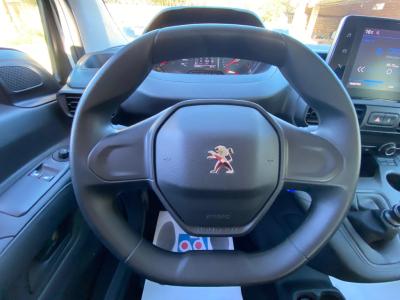 Peugeot Rifter Combi Active Bussiness 1.5Bhdi 102Cv 5p