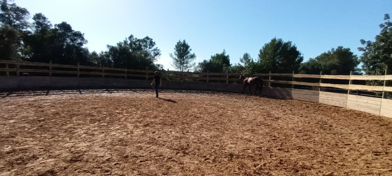 Pferdeeinstellplätze frei – Offenstall bei Algaida (15 Min. von Palma)
