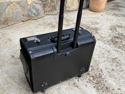 Maleta de piloto, equipaje de mano