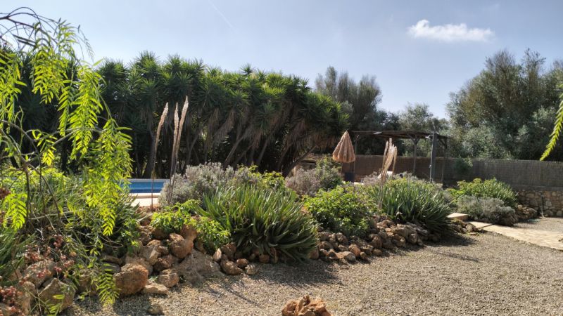 PORRERES: Encantadora propiedad rural con licencia de alquiler vacacional (ETV), pozo y viñas