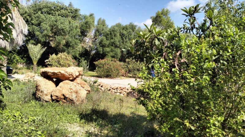 PORRERES: Encantadora propiedad rural con licencia de alquiler vacacional (ETV), pozo y viñas