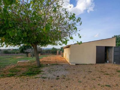 PORTOCRISTO: Finca rural cuidada con licencia de alquiler vacacional para 8 personas (solo venta)