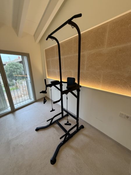 Power Tower Dip Station Sporttower Fitness Homegym