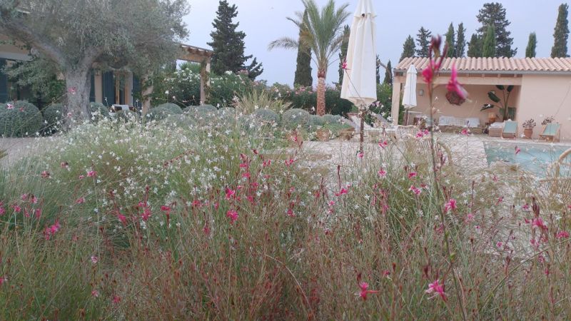 Jardinero profesional