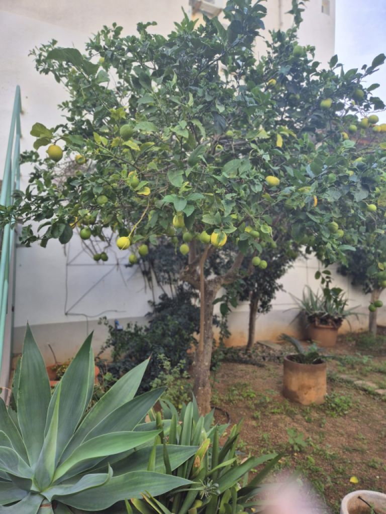 Casa de Pueblo con Licencia Vacacional - Reformada en 2010