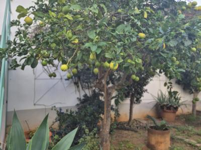 Casa de Pueblo con Licencia Vacacional - Reformada en 2010