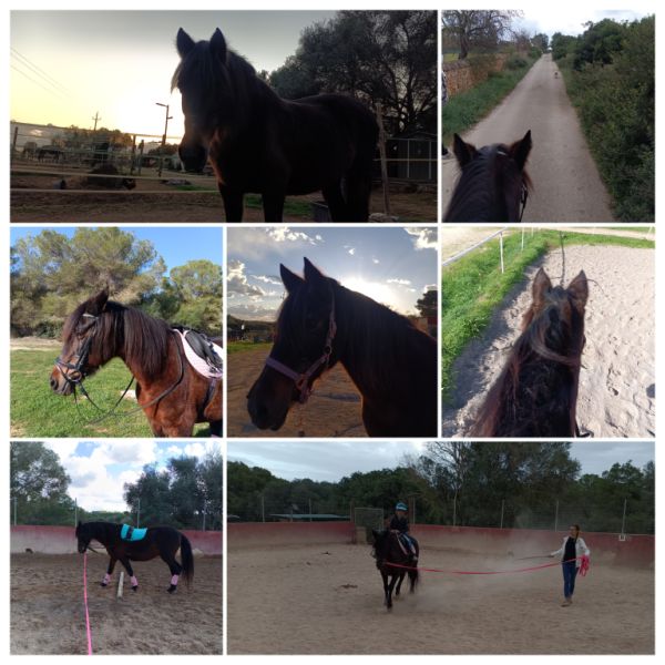 Equitación para niños