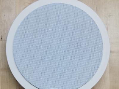 Revox, altavoz integrado