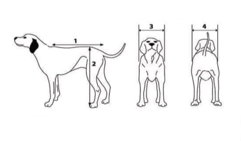 Wheelchair for large dogs