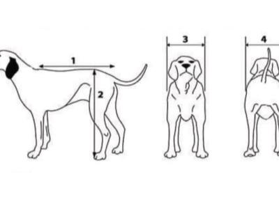 Wheelchair for large dogs