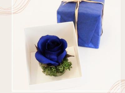 Pink crepe paper in gift box, various colors