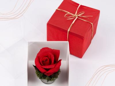 Pink crepe paper in gift box, various colors