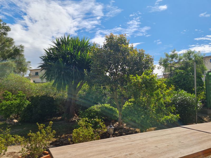 Todo en torno a la casa