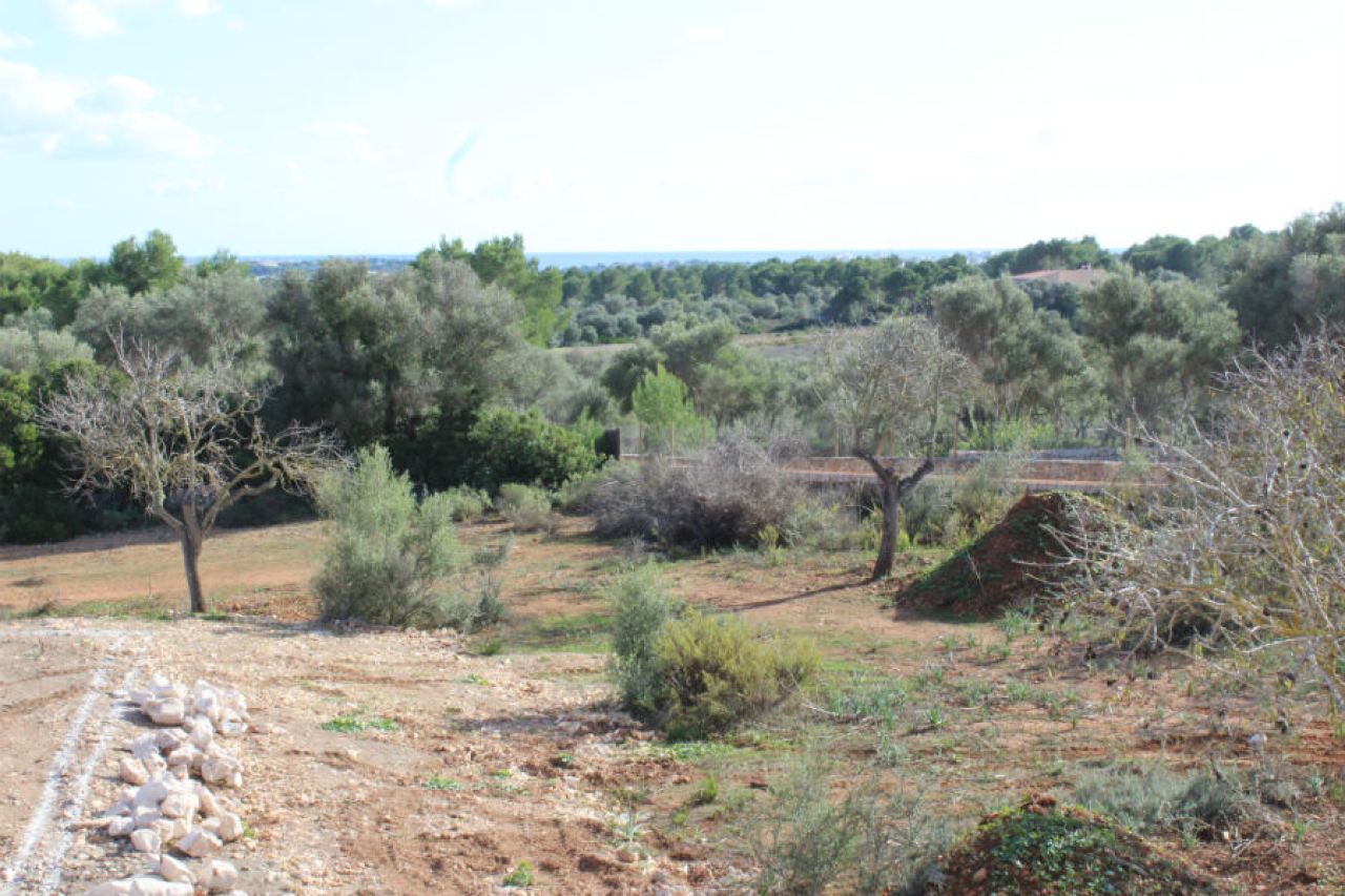 Se vende finca rústica en Porto Colom