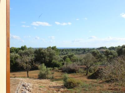 Se vende finca rústica en Porto Colom