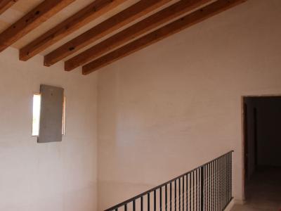 Se vende finca rústica en Porto Colom