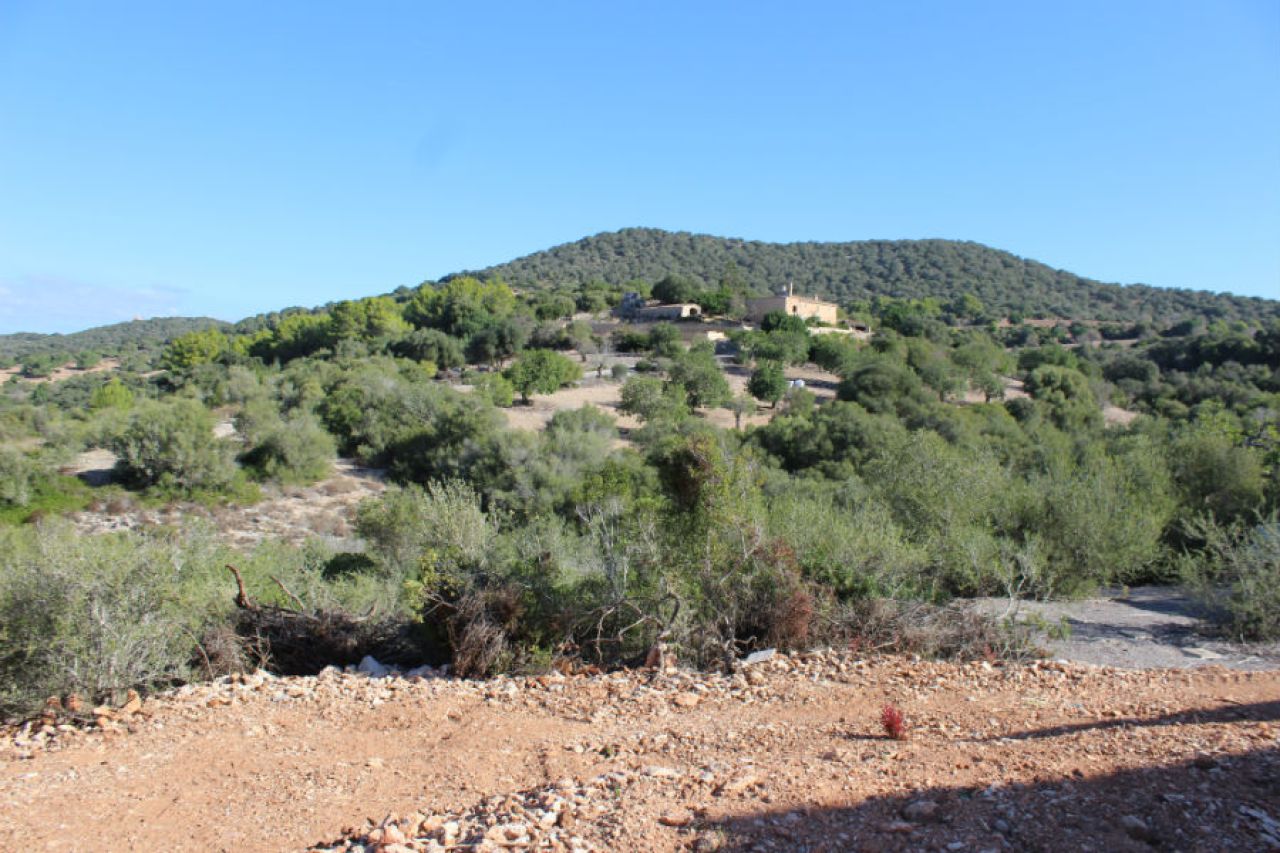 Se vende Finca rústica en Son Macia