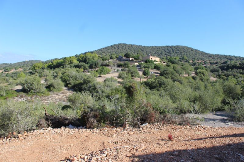 Se vende Finca rústica en Son Macia