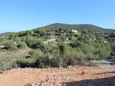 Se vende Finca rústica en Son Macia