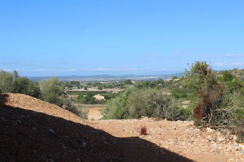 Se vende Finca rústica en Son Macia