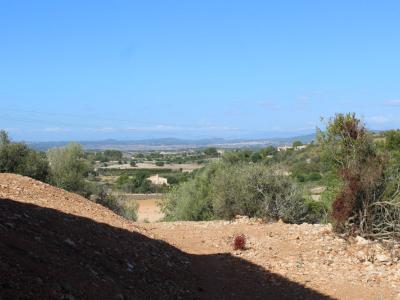 Se vende Finca rústica en Son Macia
