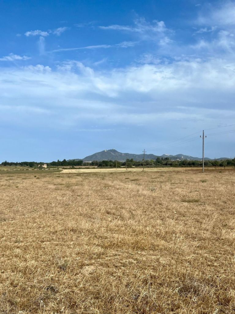 Rustikales Grundstück mit Basisprojekt und Genehmigung in Bearbeitung in Son Valls, Felanitx.