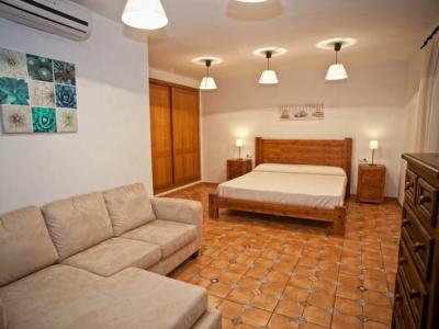 Saison: 6 ländliche Apts mit Gemeinschaftspool in Sa Sorda - bei Campos-- AP 43 T