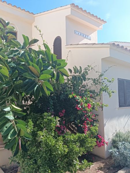 TEMPORADA: Dúplex - Apartamento en 1. Línea de la costa de Cala Murada -- AP 08 T