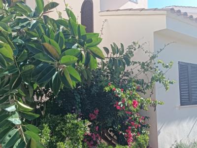 TEMPORADA: Dúplex - Apartamento en 1. Línea de la costa de Cala Murada -- AP 08 T