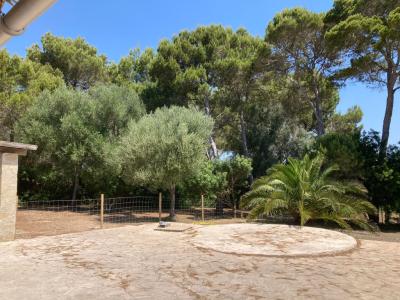 SAISON: Ebenerdiges Chalet mit kleinem Pool und Garten an der Cala Mondrago - Santanyi -- CH 78 T
