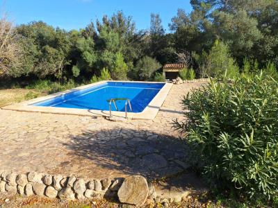 SANT JOAN (CENTRE OF THE ISLAND): Charming finca with pool, private well, guest apartment and 82 m² shed