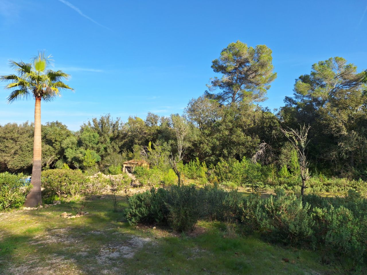 SANT JOAN (CENTRE OF THE ISLAND): Charming finca with pool, private well, guest apartment and 82 m² shed