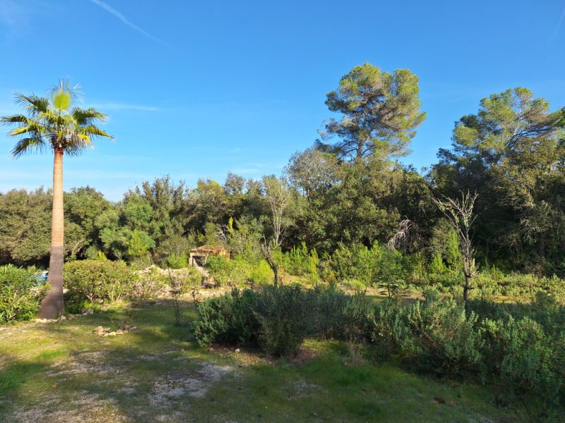 SANT JOAN (CENTRE OF THE ISLAND): Charming finca with pool, private well, guest apartment and 82 m² shed