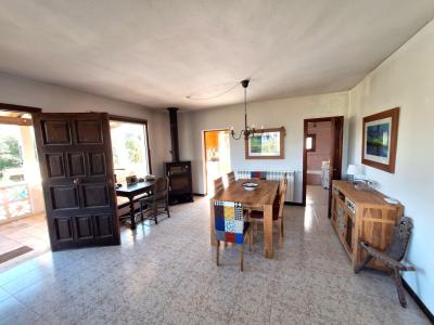 SANT JOAN (CENTRE OF THE ISLAND): Charming finca with pool, private well, guest apartment and 82 m² shed