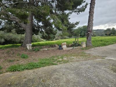 Schöne Finca mit renovierungsbedürftigem Haus