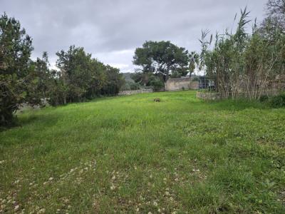 Schöne Finca mit renovierungsbedürftigem Haus