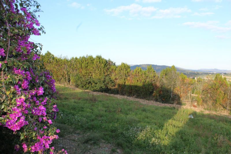 Se vende preciosa finca rústica en Puntiró