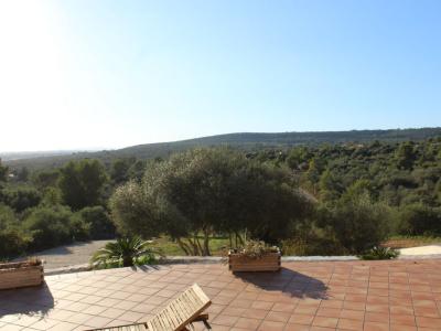 Se vende preciosa finca rústica en Puntiró